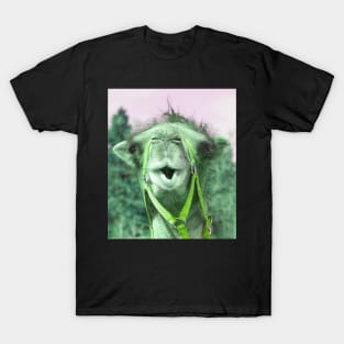 camel T-Shirt